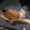 1969 nos aluminum corvette water pump 3975928. 427 zl1 - Image 4