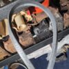 1969 l78 l89 copo nos alt belt.....396 427 hi perf #024 - Image 2