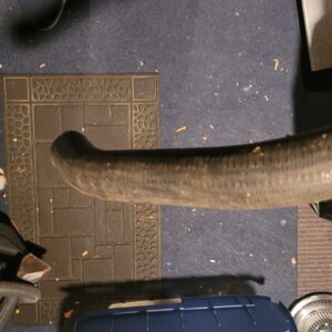 1963 327 hi perf aluminum intakes only  corvette 340 and 365 fuel injection