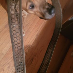 Ac element screen gm original 3x2 1967 1968 1969 427 