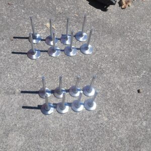 Nos set of gm eaton valves.  219 188  for L88 zl1..... exvellent shape never installed. 